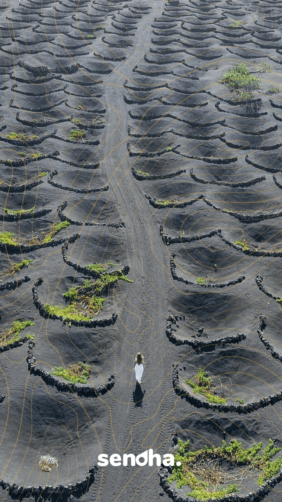Guía Lanzarote Sendha