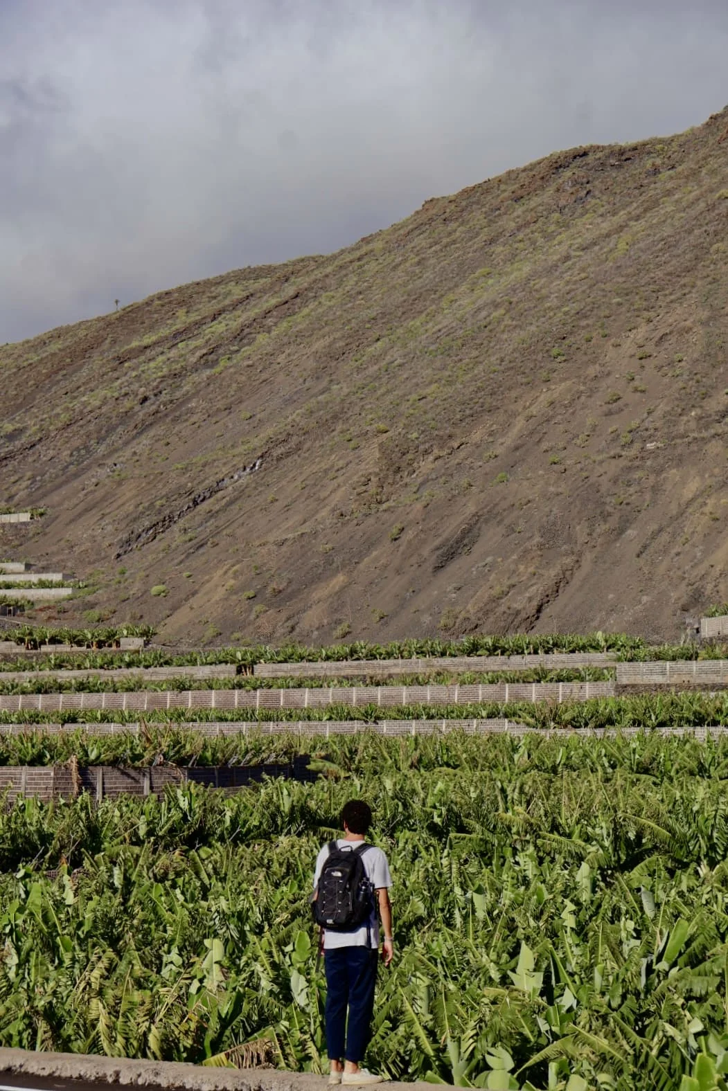 La Palma Guía de Viaje Sendha