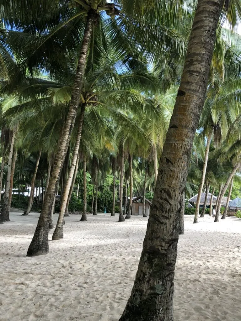 Viajar Palawan Sendha